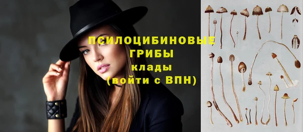 дживик Кинешма