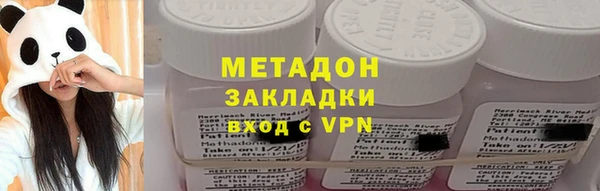 шишки Корсаков