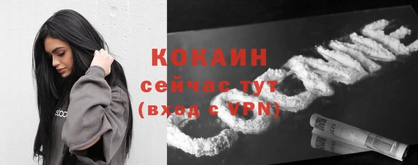 стаф Козельск