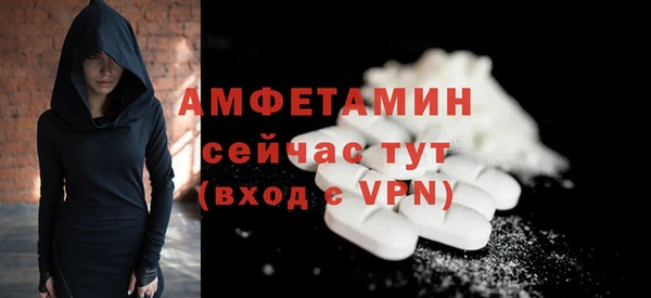 шишки Корсаков