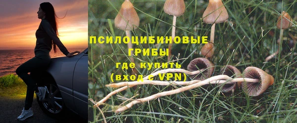марки lsd Костерёво