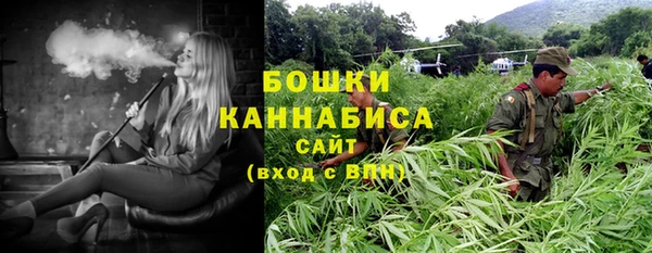 СК Козловка