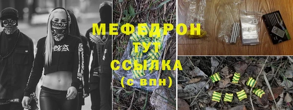 стаф Козельск