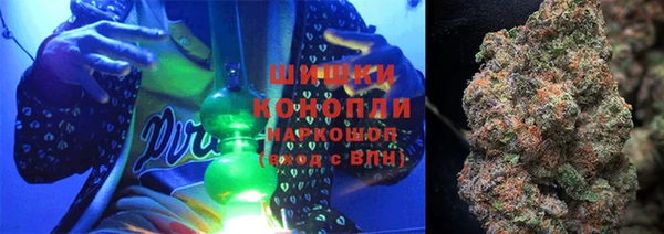 стаф Козельск