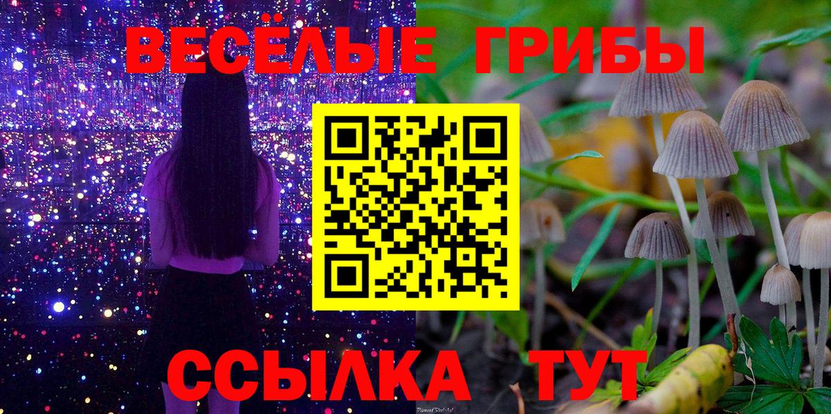 Псилоцибиновые грибы ЛСД Красный Сулин