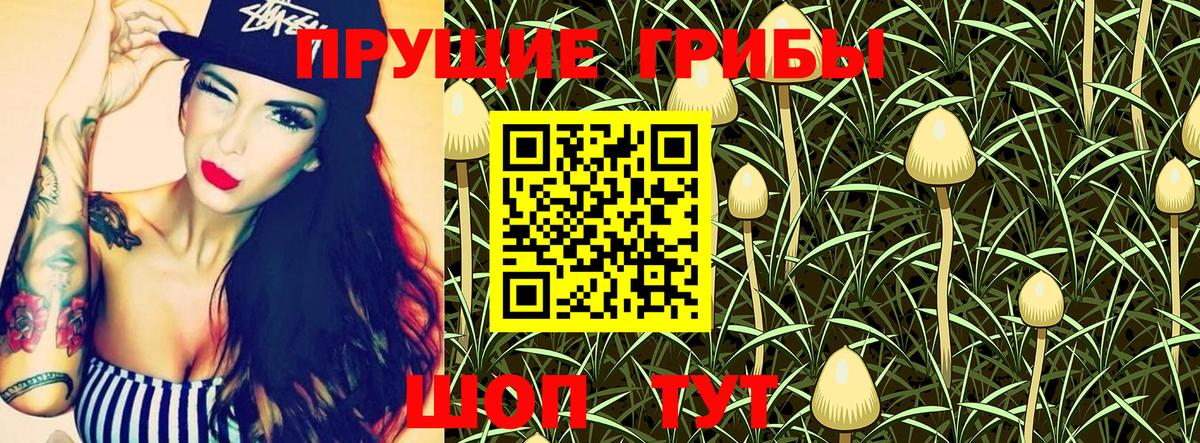 Псилоцибиновые грибы Psilocybine cubensis  Галлюциногенные грибы Magic Shrooms  Вход с VPN  Красный Сулин 